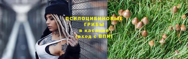 скорость mdpv Новодвинск