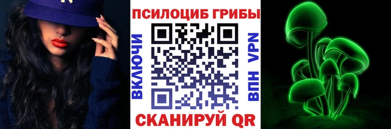 hydra как войти  наркотики  Электросталь  Галлюциногенные грибы Psilocybine cubensis 