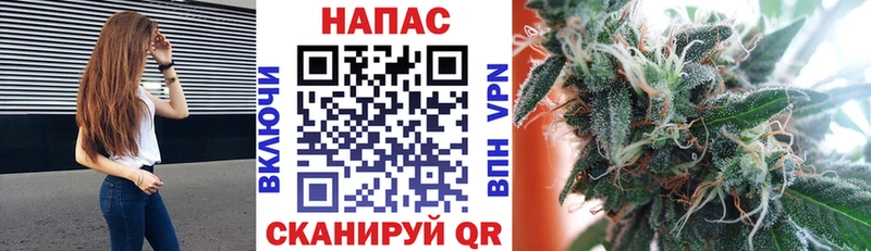 Марихуана план  закладки  Электросталь 